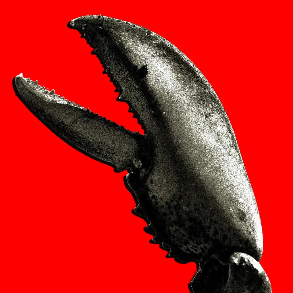 OpenClaw in one weekend: my first attempt